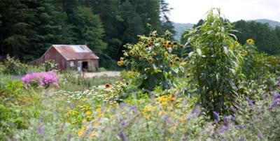 Blackberry Farm in the Great Smoky Mountains
