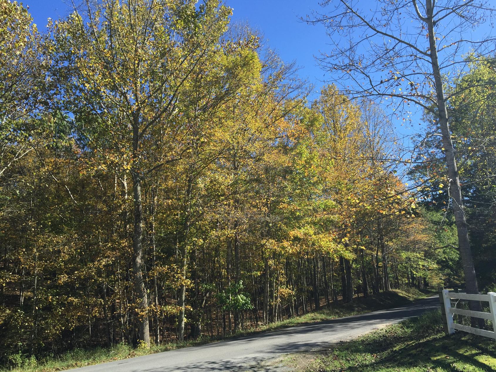 West Virginia Mountains Road Trip