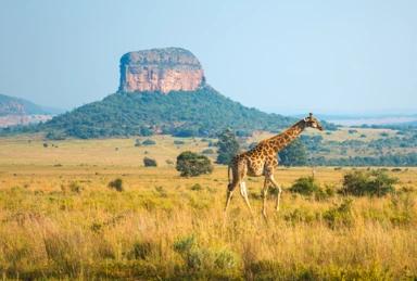 Southern African Highlights