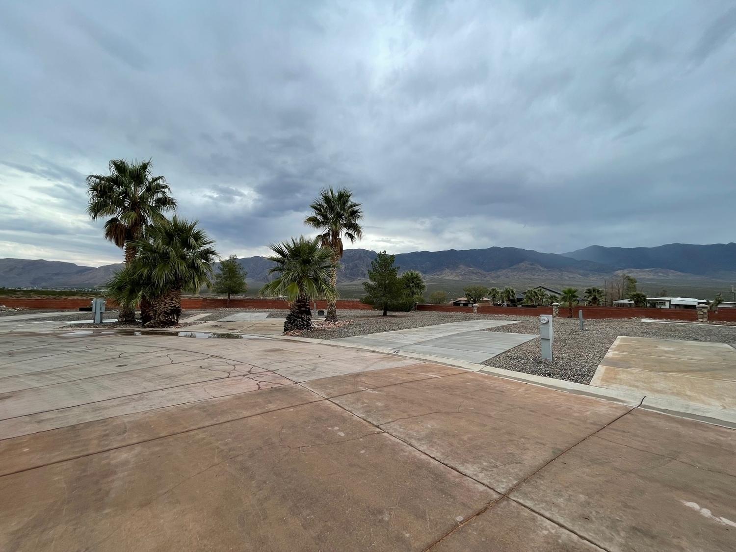 Anasazi Palms