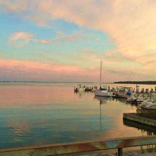 Trumpets on the Bay