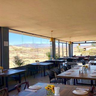 CUARZO Valle de Guadalupe