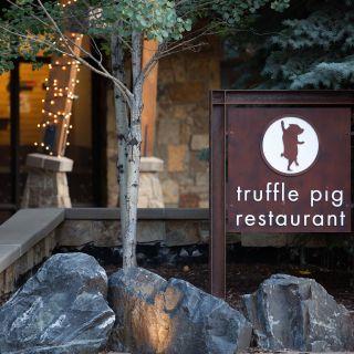 Truffle Pig