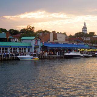 Pusser's Caribbean Grille - Annapolis