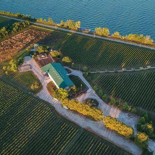 Pelee Island Winery - Pelee