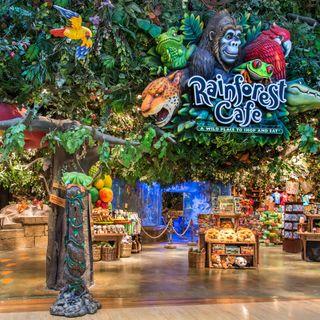 Rainforest Cafe - Ontario Mills