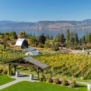 Nature’s Table at Summerhill Pyramid Winery