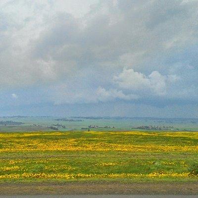 Explore the Ethiopian Rift Valley Lakes and the UNESCO Site of Steles of Tiya