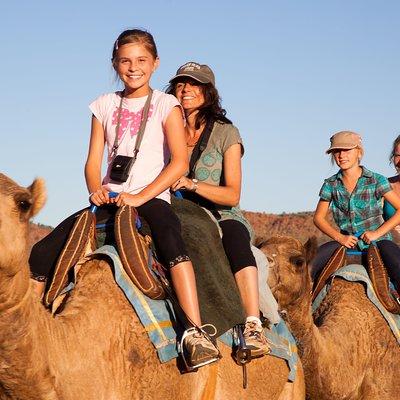 Alice Springs Camel Tour