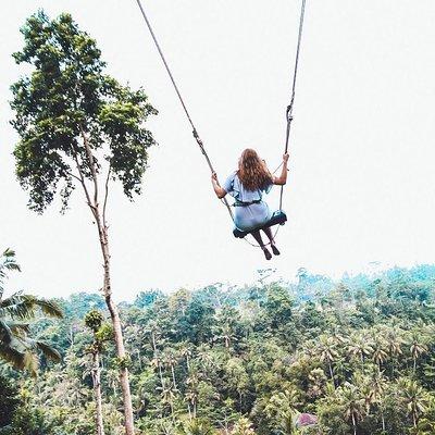 Best of Ubud Full-Day Tour with Jungle Swing