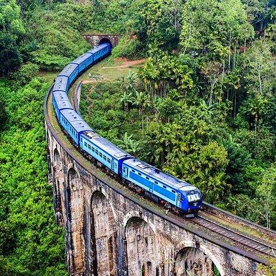 Train Experience Through The Alps (Full Day)