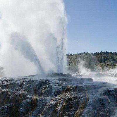  Rotorua Day Trip from Auckland with Options - Smaller groups 