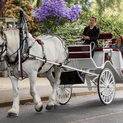 Heritage Horse-Drawn Carriage Experience in Victoria