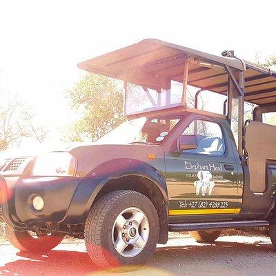 Kruger National Park Full-Day Safari from Hazyview