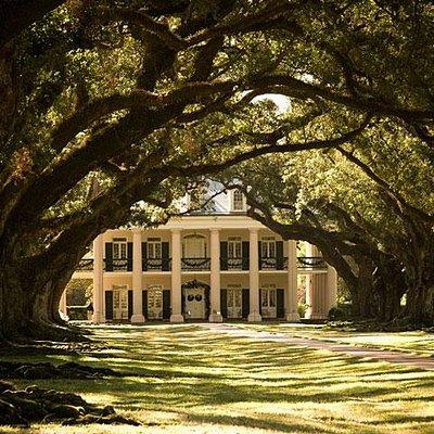 Oak Alley Plantation and Large Airboat Swamp Tour from New Orleans