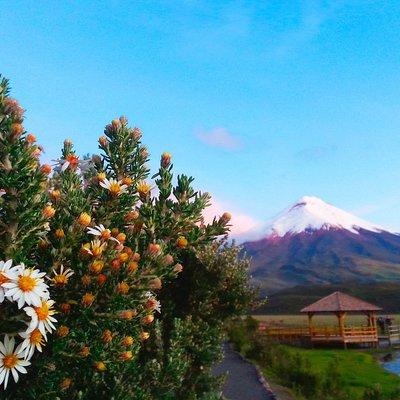 Cotopaxi Full-Day from Quito Including Entrances