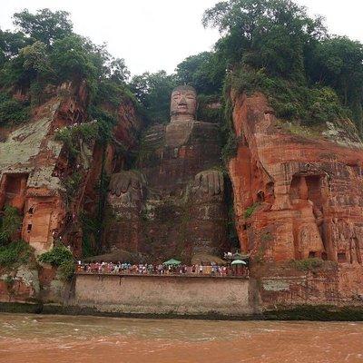 1-Day Chengdu Panda Base and Leshan Giant Buddha GROUP Tour