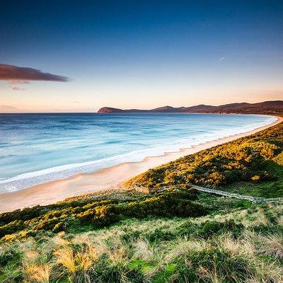 Full-Day Guided Bruny Island Tour from Hobart