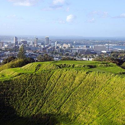 Half-day Discover Auckland City Sightseeing Tour