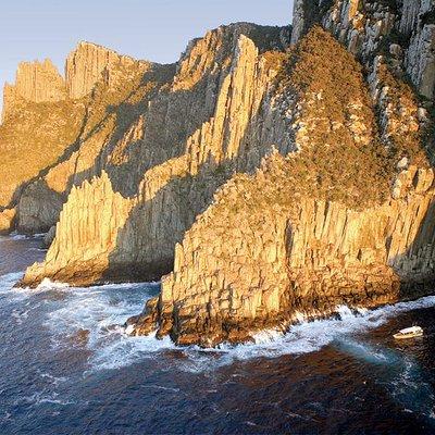 Tasman Island Cruises Day Tour from Hobart