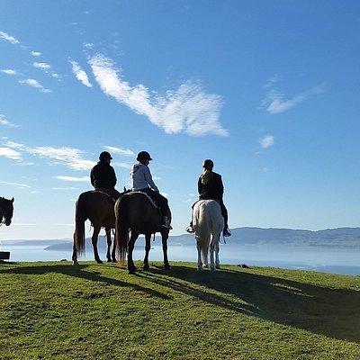 Guided Horse Trekking from Rotorua