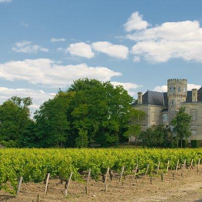 Bordeaux Cruise Port Shore Excursion: Full-Day Private Medoc Wine Tour