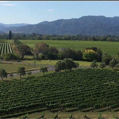Private Wine Gourmet and Scenic Delights Tour from Picton