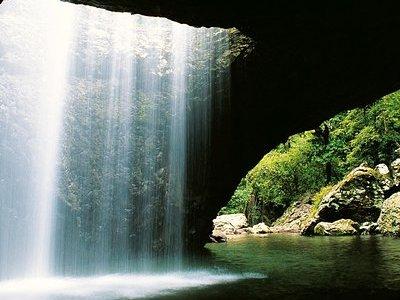 Natural Bridge & Springbrook Waterfalls Tour