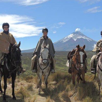 Horseback Riding and Cotopaxi National Park Day Trip