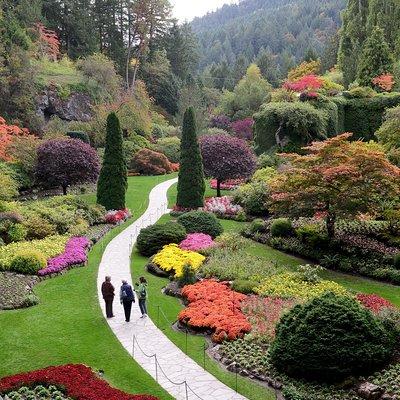 COMBO Victoria City Tour & Butchart Gardens & Entry Tix