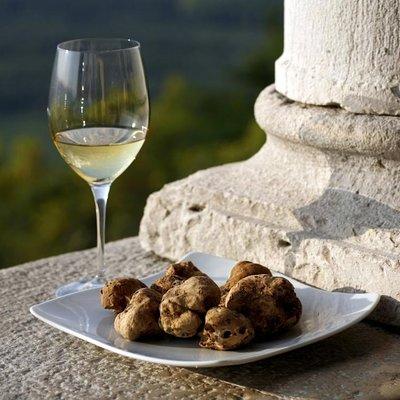 Flavours of Istria Tasting Experience from Trieste