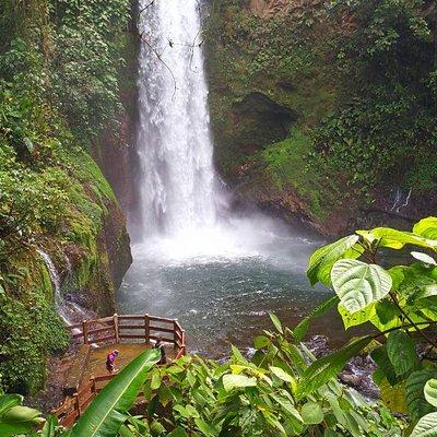 La Paz Waterfall Gardens and Wildlife Refuge Tour from San Jose