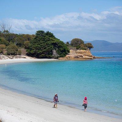 Maria Island Active Day Tour from Hobart