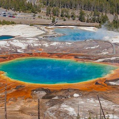 Yellowstone Lower Loop Guided Tour from Cody, Wyoming