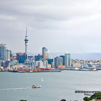 Auckland City Highlights, Afternoon Piha Beach & Rainforest Tour