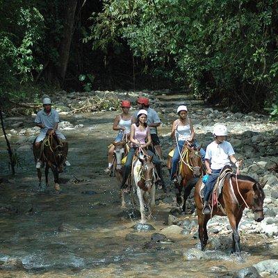 Horseback Riding from Manuel Antonio