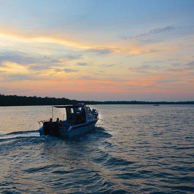 Shared Mangrove & Irrawaddy Dolphin Watching Cruise