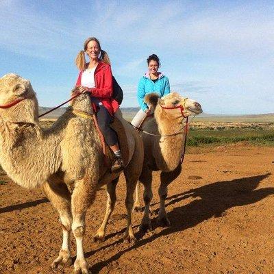 1 Day Semi-Gobi Tour Including Lunch And Free Camel or Horseback Ride