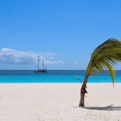 Barbados Island Highlights Half-Day Tour 