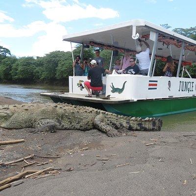 Jungle Crocodile Safari and Bird Watching Tour