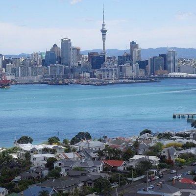Auckland Scenic Day Tour Full-Day- 8 HOURS