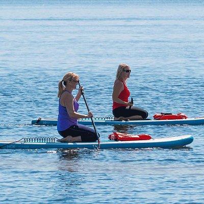 Dolphin and Manatee Stand Up Paddleboard Tour in Daytona Beach