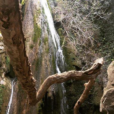 Richtis Waterfall, Minoan History, Oldest Tree, North Coast (Luxury Adventure)