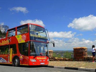 Jo'burg Hop-On Hop-Off Bus Tour with Apartheid Museum & Soweto