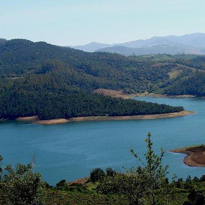 Private Custom Tour: Ooty Sightseeing with Guide