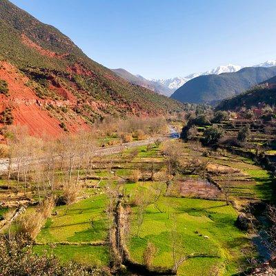 Atlas Mountains & 5 Valleys Day Tour from Marrakech - All inclusive -