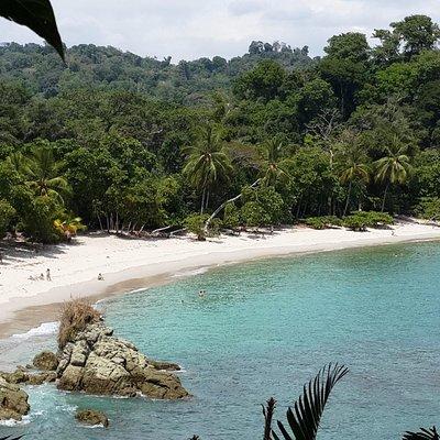 Manuel Antonio National Park Sightseeing and Wildlife Day Tour from San Jose