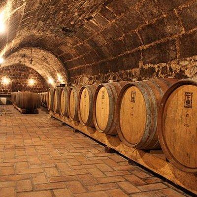 Half-day Wine Tasting Tour in Etyek Wine Country near Budapest