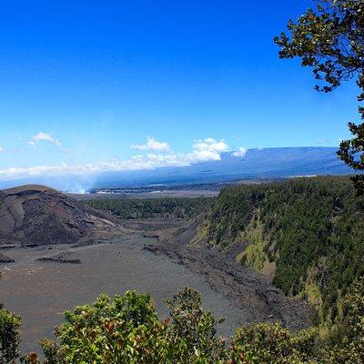 Hawaii Volcanoes National Park and Hilo Highlights Small Group Tour