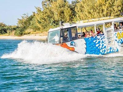 Gold Coast Quack'rDuck Amphibious Tour from Surfers Paradise